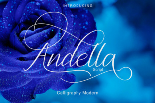 Andella Script Font for Professional Small Business Branding