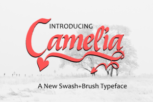 Camelia Font: A Readable Script for Editorial Design