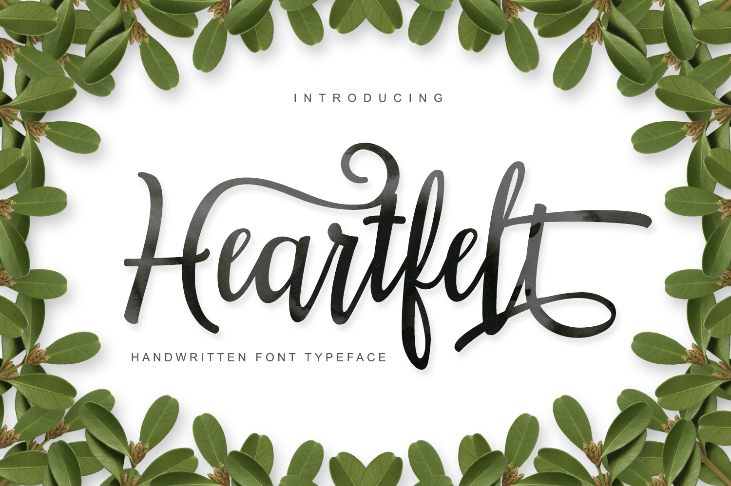 Heartfelt Font Review for Social Media Campaigns