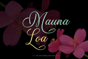 Mauna Loa Font Review for Elegant Campaign Design