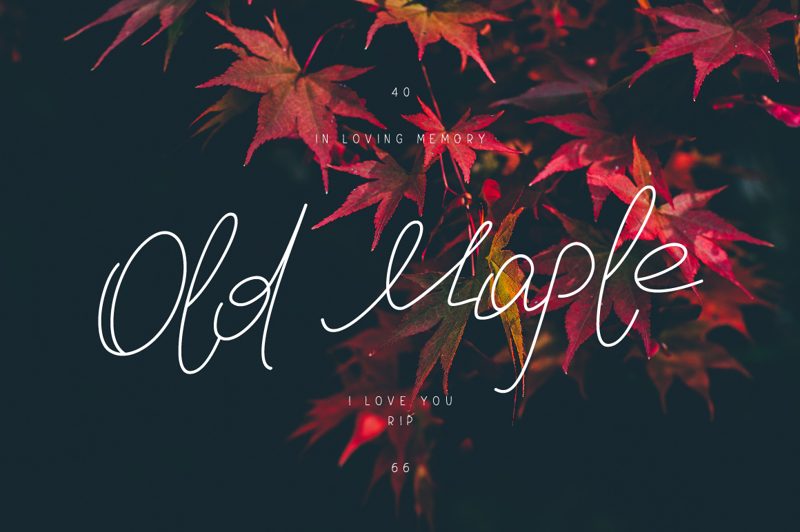 Old Maple Font: Authentic Handwritten Style for Campaigns