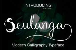 Seulanga Font: Elevating Small Business Branding